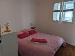 een slaapkamer met een bed met rode kussens en een raam bij DRINOU HOUSE in Boulogne-sur-Mer