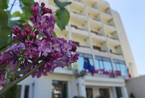 Une bande de fleurs violettes devant un bâtiment dans l'établissement Hotel Spa Cazino Monteoru, à Sărata-Monteoru