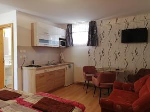 Kuchyň nebo kuchyňský kout v ubytování Tünde Apartman