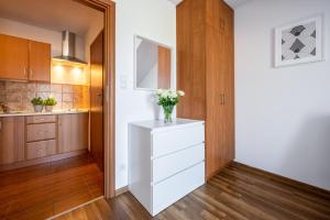 Kuchnia lub aneks kuchenny w obiekcie Apartamenty Plazowa