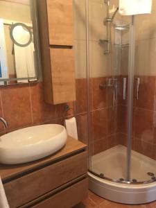 a bathroom with a sink and a shower at PKM Apartments Baska Voda in Baška Voda