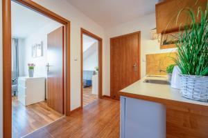 Kuchnia lub aneks kuchenny w obiekcie Apartamenty Plazowa