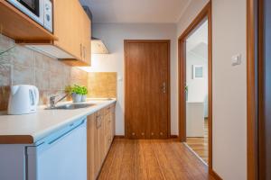 Kuchnia lub aneks kuchenny w obiekcie Apartamenty Plazowa