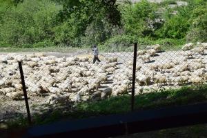 Peisaj natural din apropierea acestei pensiuni