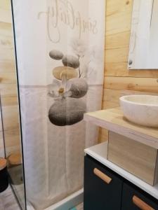 ein Bad mit einer Glasdusche und einem Waschbecken in der Unterkunft Lodge avec vue panoramique in Saint-Sorlin