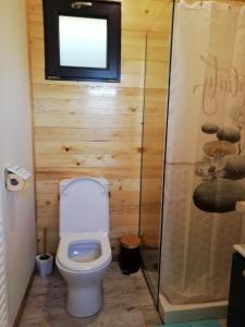 a bathroom with a toilet and a tv on the wall at Lodge avec vue panoramique in Saint-Sorlin