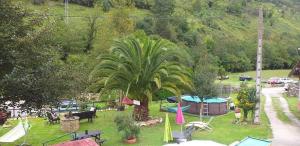 una palmera en medio de un parque en Apartamentos El Rincon Encantado en Llano-Con