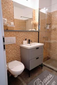 een badkamer met een toilet, een wastafel en een douche bij Bubbles studio Sinaia with terrace in Sinaia