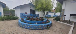 Imagem da galeria de Pensiunea Cristian em Murighiol mais 23 fotografias