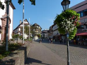 una strada in una città con un lampione con dei fiori di Seeberger Ferienwohnung a Höxter