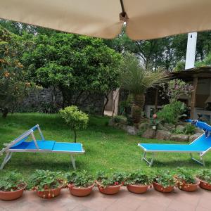 A garden outside A CASA