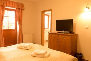 TV a/nebo společenská místnost v ubytování Hotel VÍTKOVA HORA