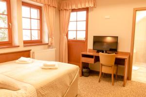 TV a/nebo společenská místnost v ubytování Hotel VÍTKOVA HORA