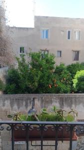 A garden outside B&B DIMORA PALMIERI