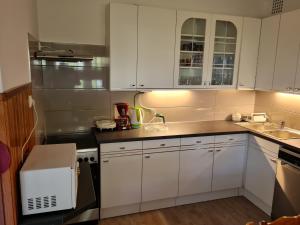 Kuchyňa alebo kuchynka v ubytovaní Gyöngyvirág Apartman Lenti