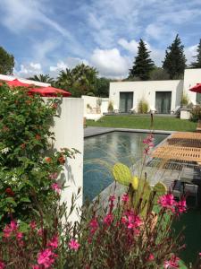 a house with a swimming pool and some flowers at Villa le sud appartements in Cassis