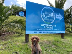 Galería fotográfica de Watermouth Lodges en Ilfracombe