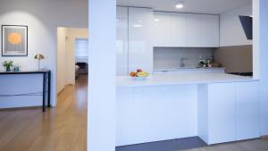 Kuchyňa alebo kuchynka v ubytovaní Luxury apartment Ivari