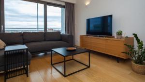 Televízia a/alebo spoločenská miestnosť v ubytovaní Luxury apartment Ivari