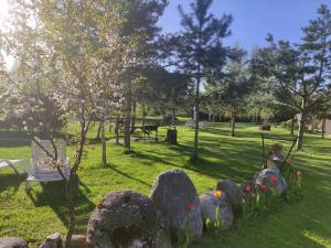 park z kamieniami i kwiatami w trawie w obiekcie Kliukai w mieście Dubinki