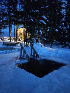 Το Kliukai τον χειμώνα