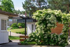 a bush with white flowers on a bench at Boutique Hotel Roja in Roja