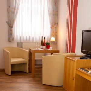 TV a/nebo společenská místnost v ubytování Hotel Garni Zum Hirschen