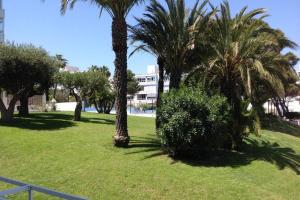 Kép Bonito Piso frente al mar con piscina y parking szállásáról Gran Alacantban a galériában Még 15 kép