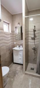 ein Badezimmer mit Dusche, Waschbecken und Toilette in der Unterkunft Apartmani Radivojević 2 in Sokobanja