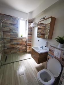 a bathroom with a toilet and a sink and a shower at Karra Residence Timisoara - autorizat Ministerul Turismului in Timişoara +58 photos