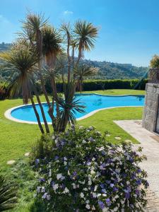 un jardín con palmeras y flores frente a una piscina en quarto familiar zona guimaraes en Guimarães