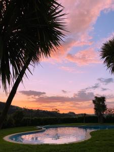 a pool with a palm tree and a sunset at quarto familiar zona guimaraes in Guimarães