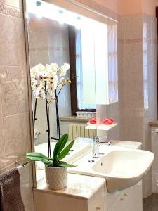 Gallery image of Agriturismo L'Antica Quercia in Pomarance