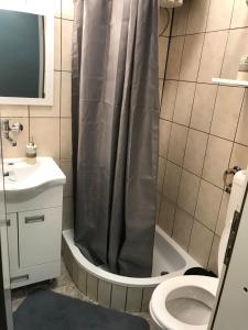 a bathroom with a shower and a toilet and a sink at Apartman studio Pavle i Petra in Sremski Karlovci