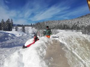 Ferienhaus Rohrmoos Maria Alm v zime