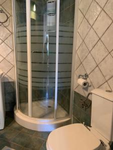 a bathroom with a shower with a toilet and a sink at Althea Garden House in Hydra