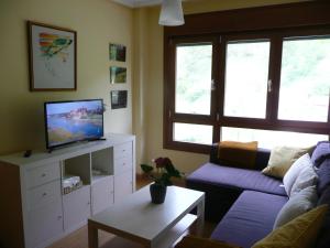 Felechosa ski & senderismo في فيليتشوسا: غرفة معيشة مع أريكة وتلفزيون