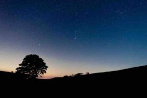 een boom op een heuvel onder een sterrenhemel bij Kingsdale Head Cottage in Weathercote +1 foto