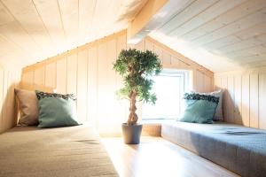 una camera con due letti e una pianta in vaso di Resort 1 Surfer's Residence E 137 a Grossenbrode