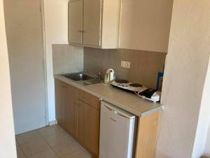 małą kuchnię ze zlewem i lodówką w obiekcie Villa Dora w mieście Plakias