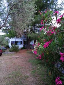 una casa con fiori rosa nel cortile di Raslina Sun Apartment a Raslina