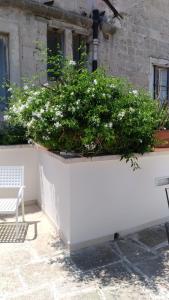 A garden outside B&B DIMORA PALMIERI