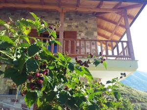 Balkon oz. terasa v nastanitvi Bujtina Hadër Xhebro