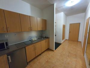 Kuchyň nebo kuchyňský kout v ubytování Apartmá na Hané