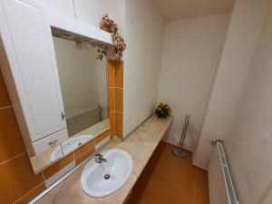 Koupelna v ubytování Apartmá na Hané
