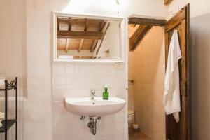 un baño con lavabo y espejo en Agriturismo Corte Galvagnina, en Cesole