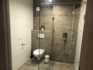 baño con ducha, aseo y puerta de cristal en Gästehaus Glock, en Marbach am Neckar