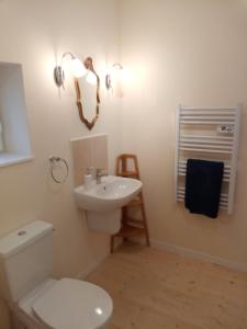 a bathroom with a white toilet and a sink at The Piggeries at La Maison Tumtum Arbre in Loudun