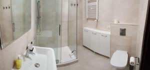 a bathroom with a shower and a sink and a toilet at Apartamenty Marynarki Wojennej, Dziwnów in Dziwnów +74 photos