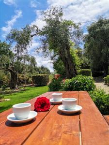 Κήπος έξω από το Ilias Apartments Dassia By Hotelius